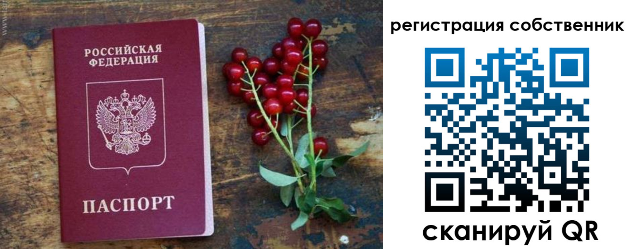 регистрация для дет. сада в Донском